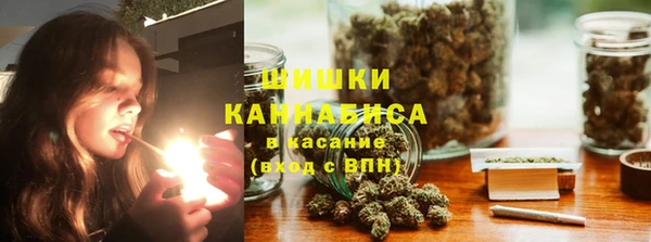стаф Бородино