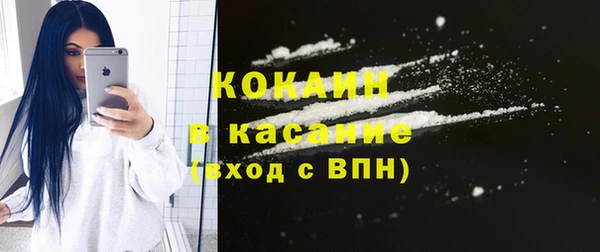 стаф Бородино