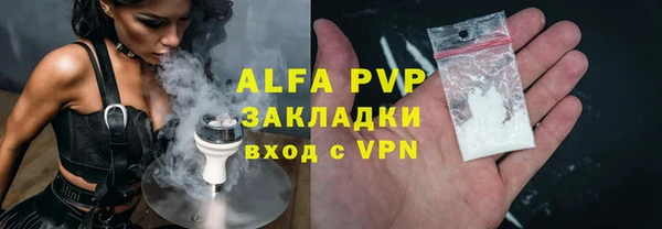 стаф Бородино