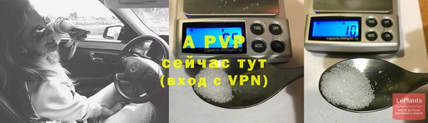 стаф Бородино