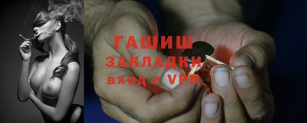 стаф Бородино