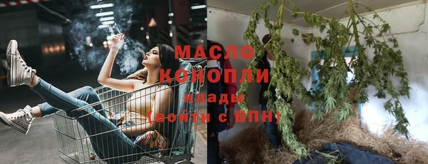 стаф Бородино