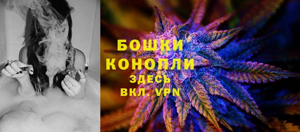 стаф Бородино
