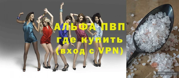 стаф Бородино