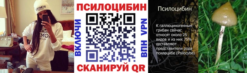 наркота  Нюрба  Псилоцибиновые грибы прущие грибы 